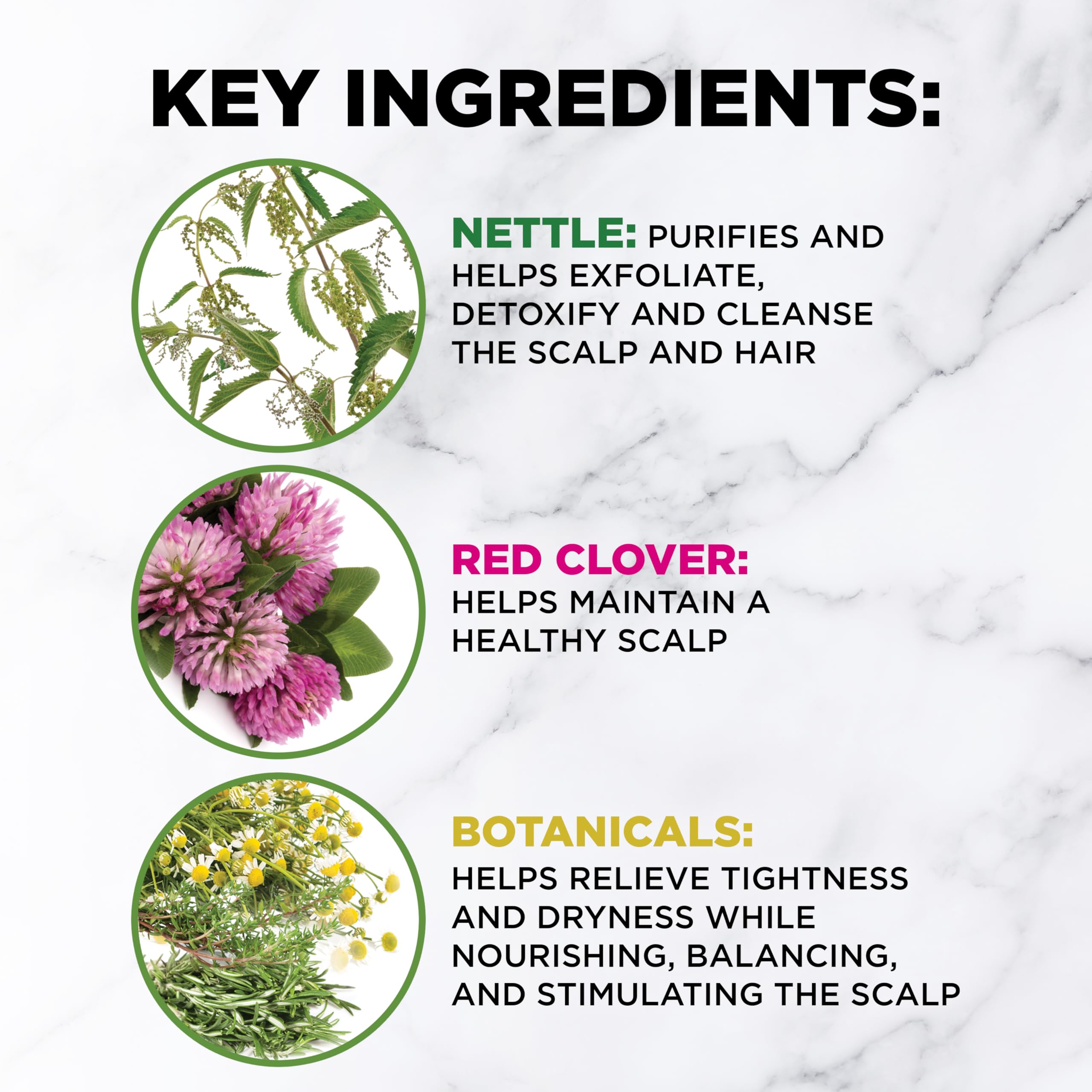 CHI Powerplus Starter Kit with Shampoo, Conditioner and Scalp Treatment